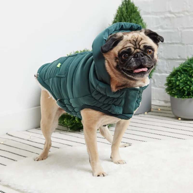 Super Puff Parka - Teal - Image 4