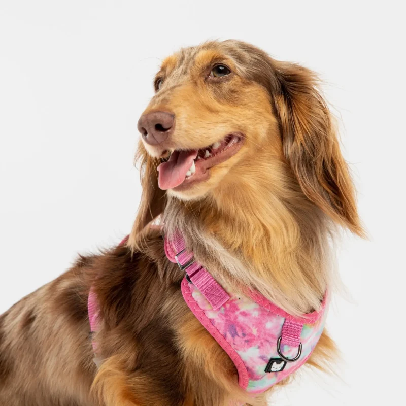 Poplin Dog Harness - Pink Tie Dye - Image 2