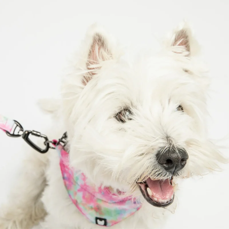 Poplin Dog Bandana Collar - Pink Tie Dye - Image 2