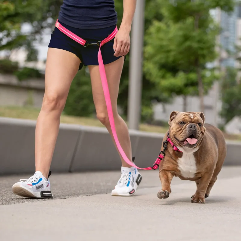 Reflective Leash - EEZY-6 - Neon Pink - Image 2