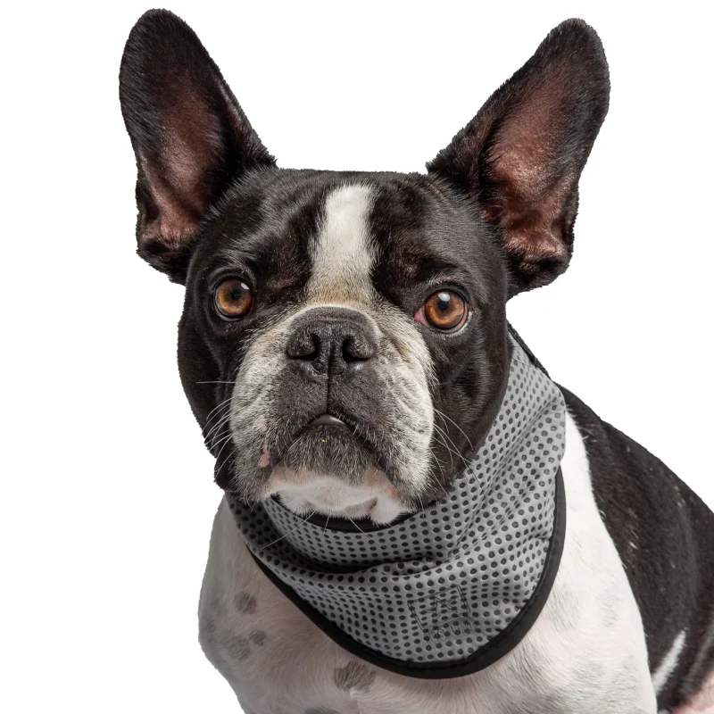 US Army Dog Cooling Bandana - Grey - Image 2